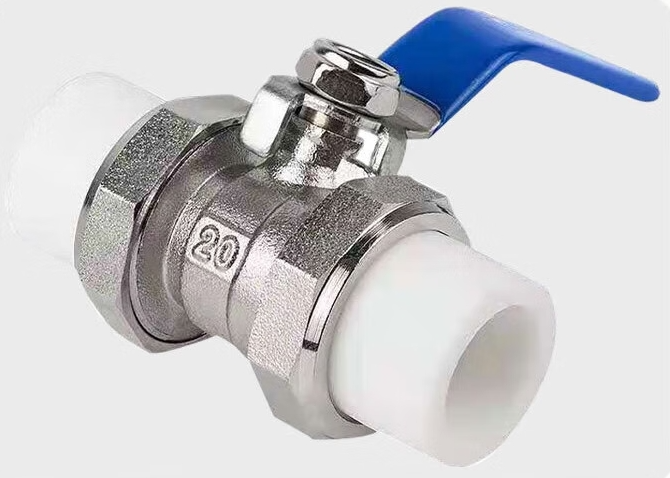 Live catch valves - 多米工业